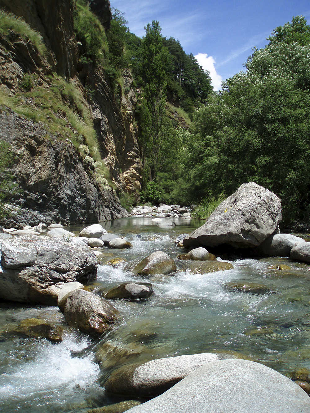 A river, northern Spain