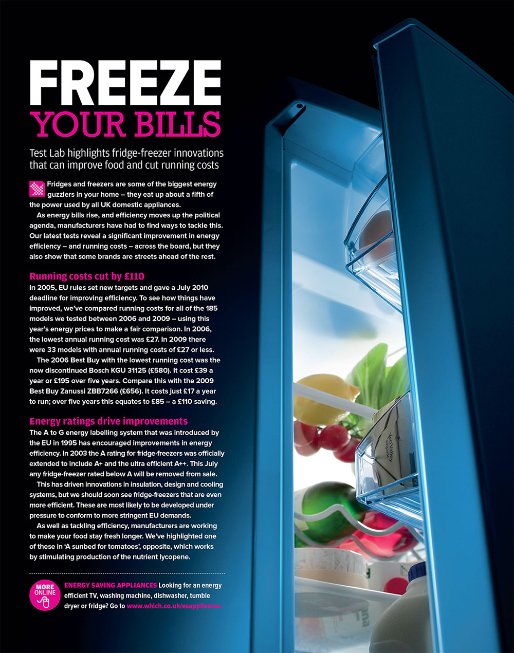 A Which? Magazine feature on freezer running costs